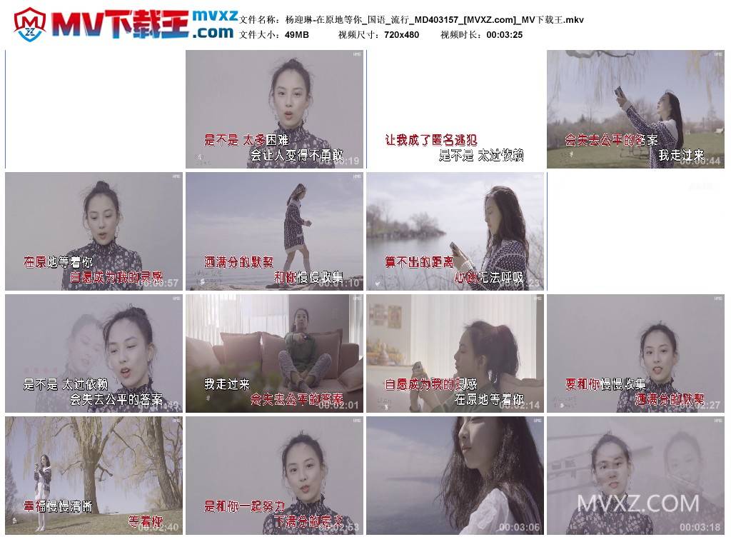 杨迎琳-在原地等你_国语_流行_MD403157